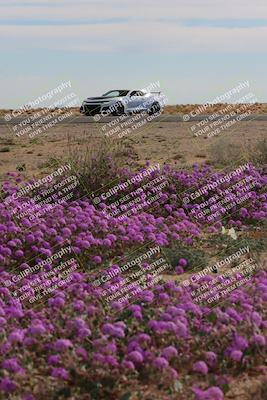 media/Jan-08-2023-SCCA SD (Sun) [[8f6a5b9391]]/Advanced Group/Session 2 (Short Straight)/